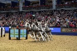 Extreme - 00638